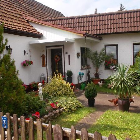 Ferienwohnung Lotti Wittenberg Exteriér fotografie