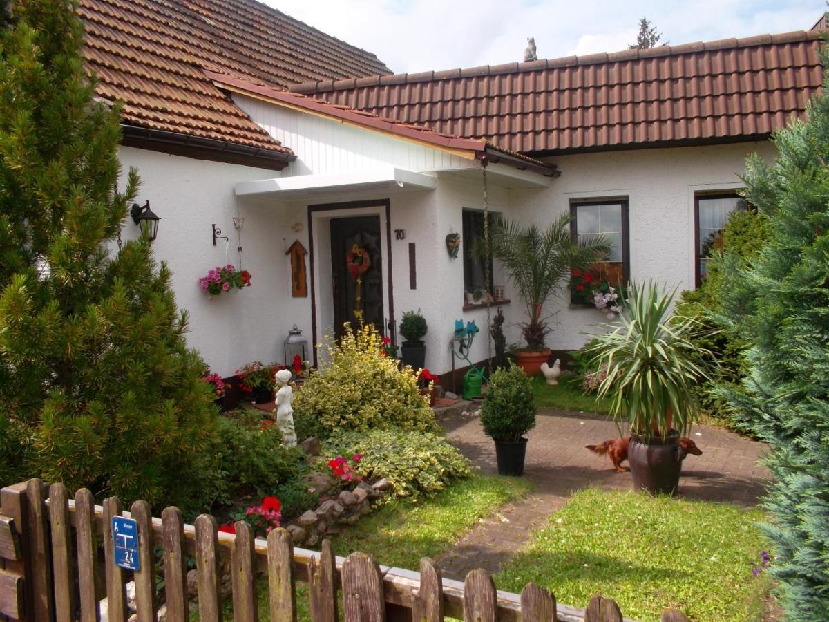Ferienwohnung Lotti Wittenberg Exteriér fotografie